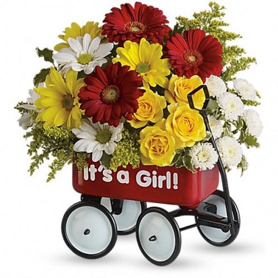 Send Flowers And More: New Born Baby Flower Bouquet