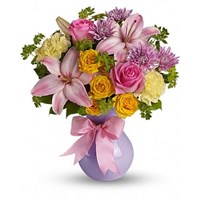 Портфолио Celine Wilson